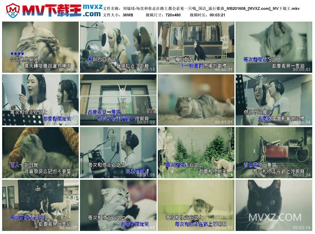 刘瑞琦-每次和你走在路上都会看见一只喵_国语_流行歌曲_MB201608